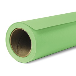 Papierhintergrund 2,72x11m (Mint Green)